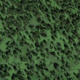 Satellite imagery of Березовая, RU