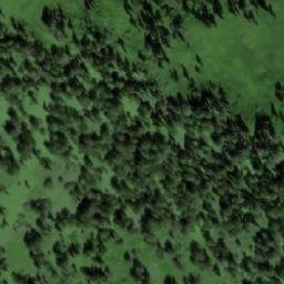 Satellite imagery of Березовая, RU
