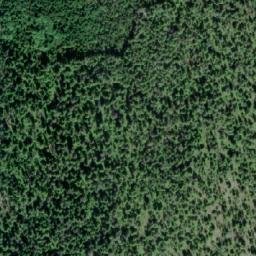 Satellite imagery of Forceman Ridge, CA