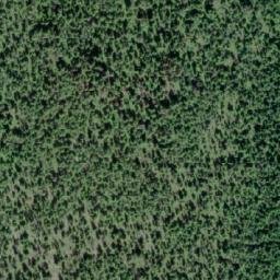 Satellite imagery of Forceman Ridge, CA