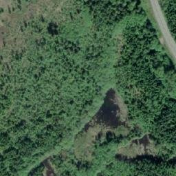 Satellite imagery of Forceman Ridge, CA