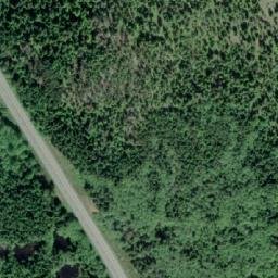 Satellite imagery of Forceman Ridge, CA