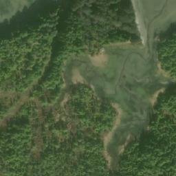Satellite imagery of Auriol Point, CA