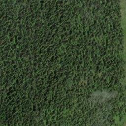 Satellite imagery of Mount Lorenz, CA