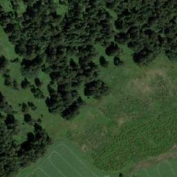 Satellite imagery of Сосновка, KZ