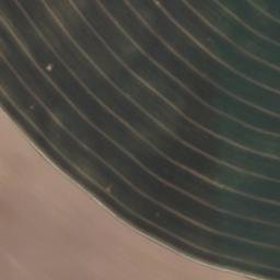 Satellite imagery of Lustberg, DE