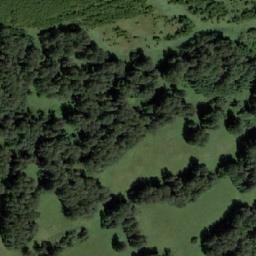Satellite imagery of Яшкина, KZ