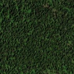 Satellite imagery of Белый, RU