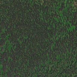 Satellite imagery of Mount Bud, CA