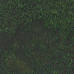 Satellite imagery of Mount Bud, CA