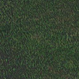 Satellite imagery of Mount Bud, CA