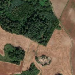 Satelita