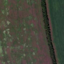 Satellite imagery of Griva Antonovskaya, RU