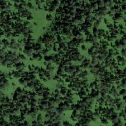 Satellite imagery of Алешкина, RU