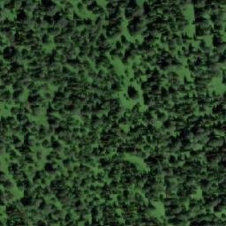 Satellite imagery of Алешкина, RU
