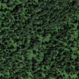 Satellite imagery of Алешкина, RU