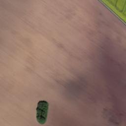 Satellite imagery of Großer Negenberg, DE