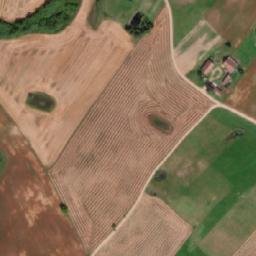 Satelita