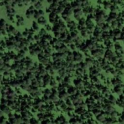 Satellite imagery of Алешкина, RU