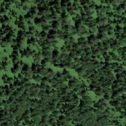 Satellite imagery of Алешкина, RU