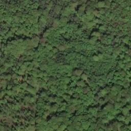 Satellite imagery of Karpfenteichberg, DE