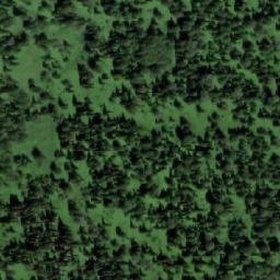 Satellite imagery of Алешкина, RU