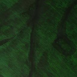 Satellite imagery of Линейный, KZ
