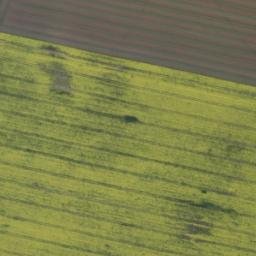 Satellite imagery of Wilkens-Berg, DE