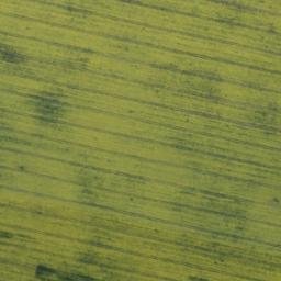 Satellite imagery of Wilkens-Berg, DE