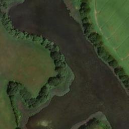 Satellite imagery of Wittenberg, DE