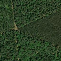 Satellite imagery of Dachsberg, DE