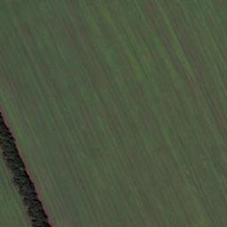 Satellite imagery of Новотроицкая, KZ