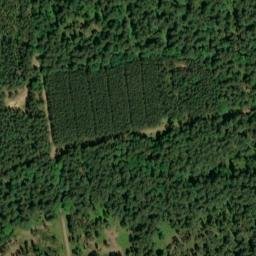 Satellite imagery of Dachsberg, DE