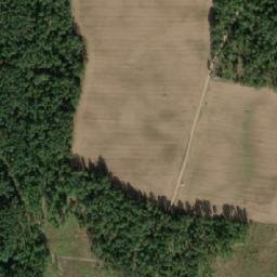 Satelita