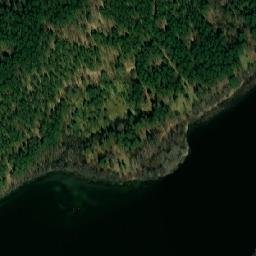 Satelita