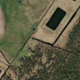 Satelita
