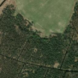 Satelita