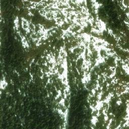 Satellite imagery of Mount McDonald, CA