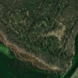 Satelita