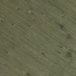 Satellite imagery of Бодынова Грива, KZ