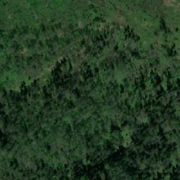 Satellite imagery of Осиновая, KZ