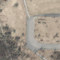 Satelita