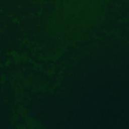 Satelita