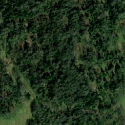 Satellite imagery of Коченкова Грива, KZ