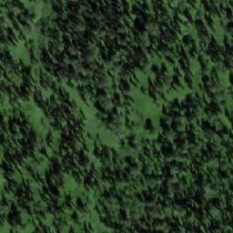 Satellite imagery of Болотный, RU