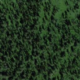 Satellite imagery of Болотный, RU
