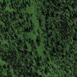 Satellite imagery of Болотный, RU