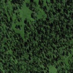 Satellite imagery of Болотный, RU
