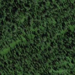 Satellite imagery of Болотный, RU