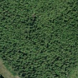 Satellite imagery of Telegraph Point, CA